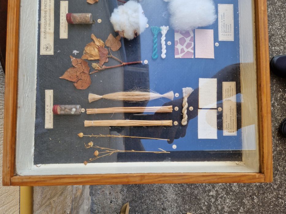 Страхотно антикварно пано - Влакнодайни култури