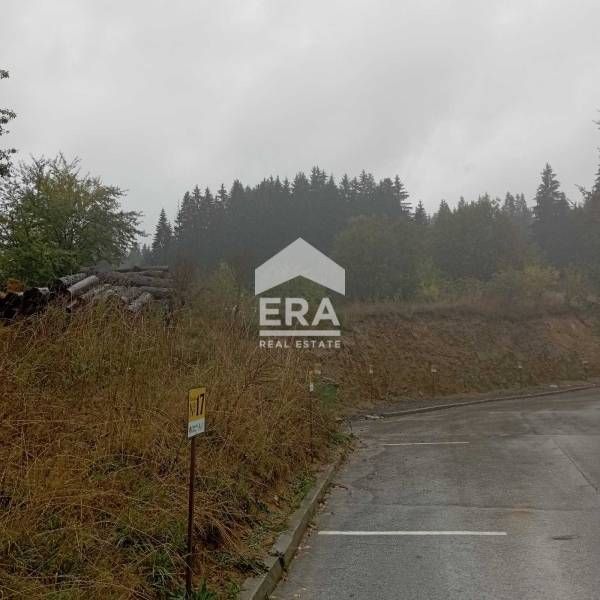 Продава се Парцел в Чепеларе - 4127 кв.м за 54 €/кв.м - Снимка #3