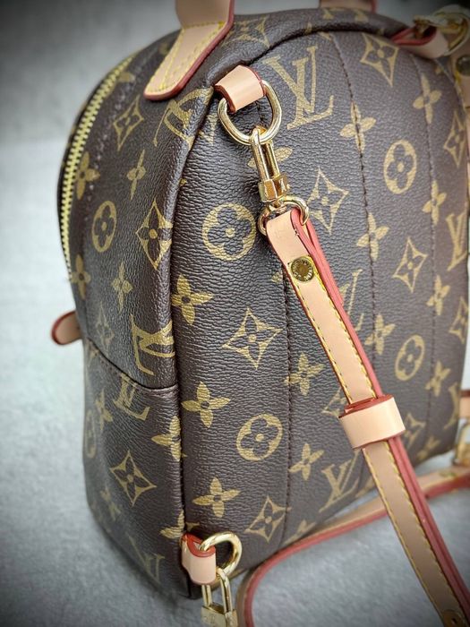 Ghiozdane Louis Vuitton noi