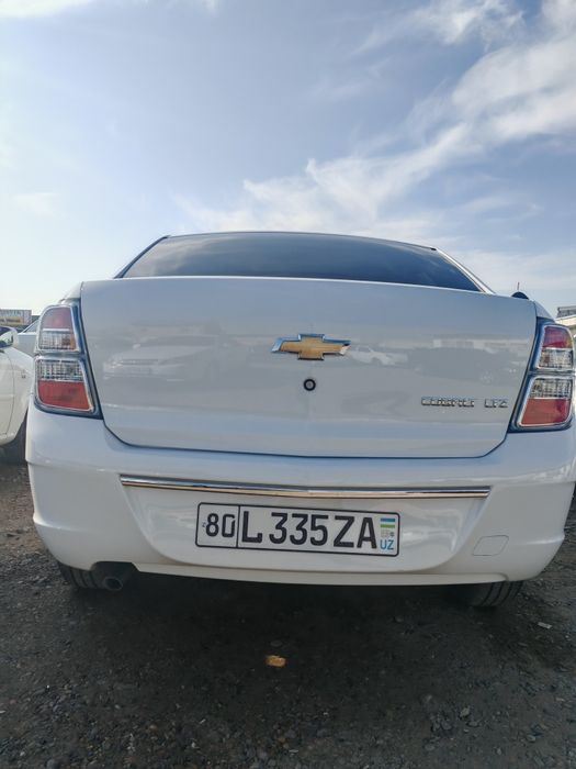 cobalt midnight 2025 pachka.