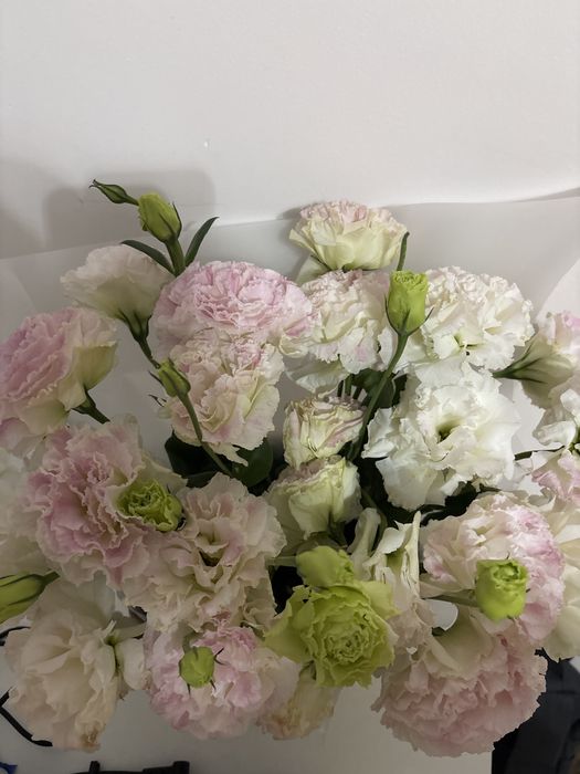 Алынғанына 2 сағат қана болды