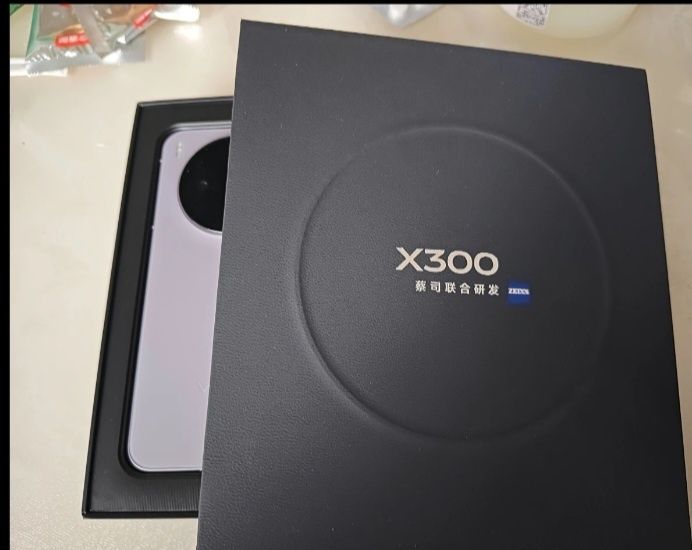 Vivo x300 12/512