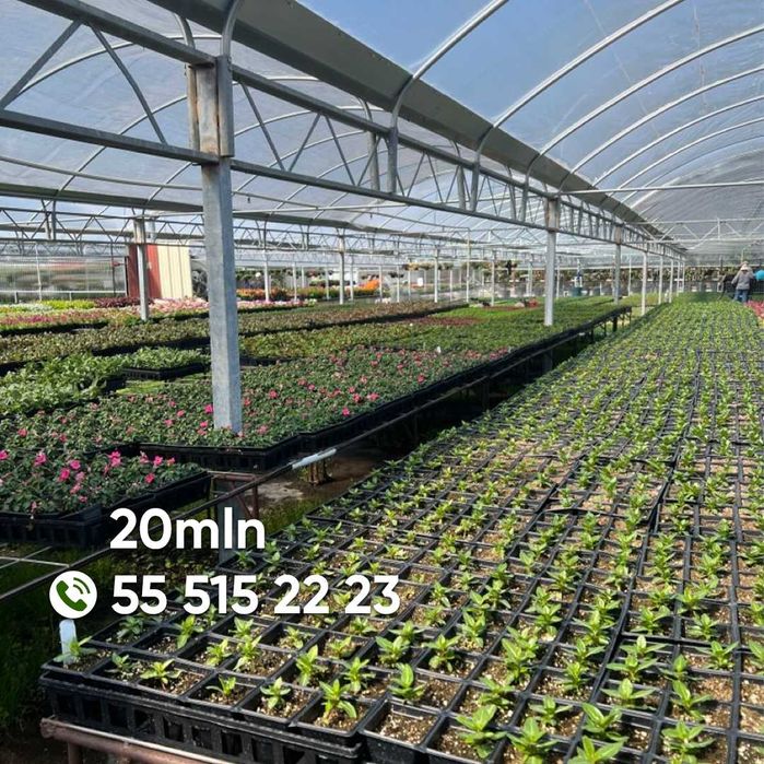 Koreya issiqxonalari va issiqxona uchun materiallar