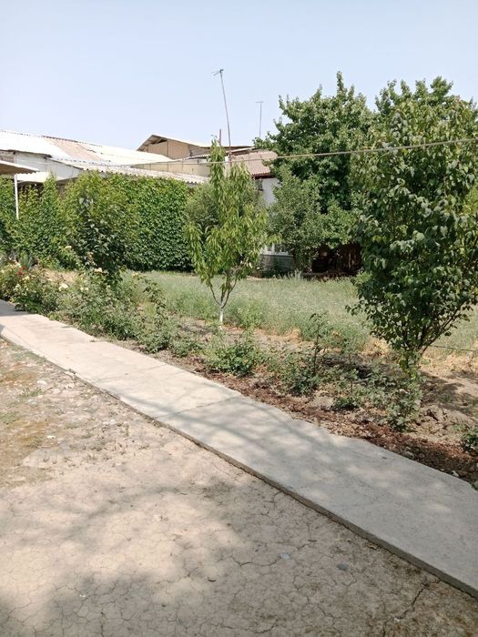 Срочно участка сотилади курук ер 23×23 фасади оринтир Лайлак махалла