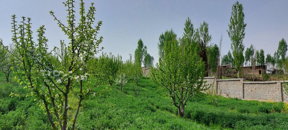 Продаётся земельный участок в Янгиюле