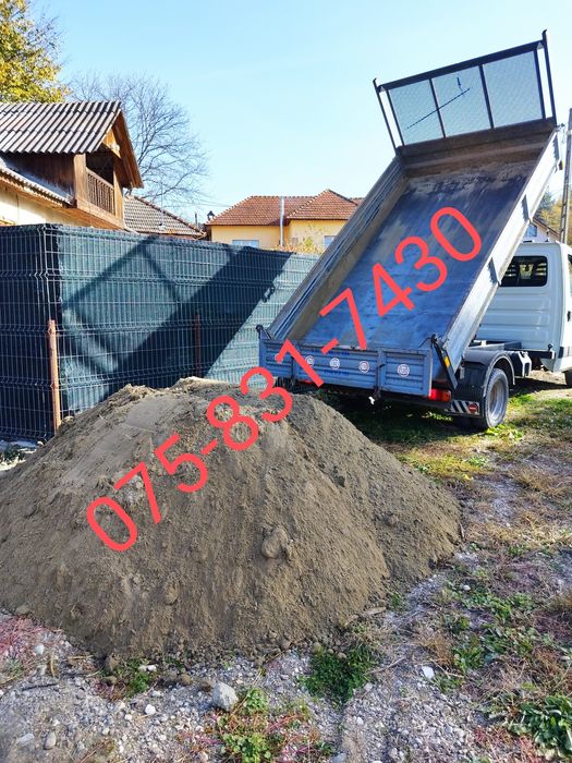 Chisai de gradina sau gazon mranita