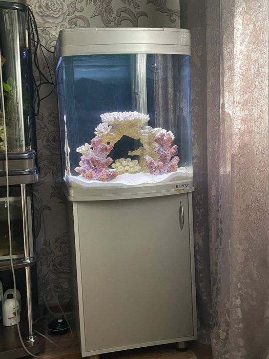 В морской аквариум  90 л