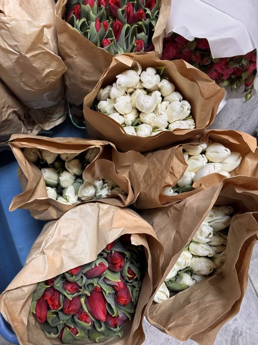 Тюльпаны премиальные