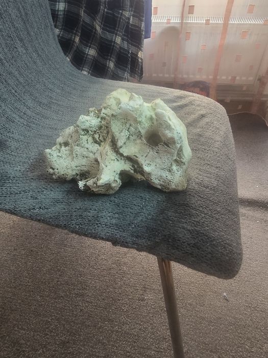 Vând roci pt acvariu