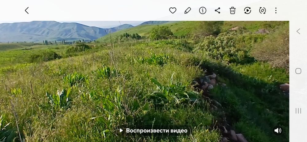 Продам участок 30 га в горах