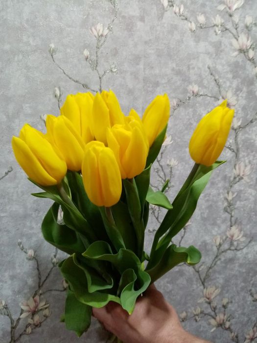 Тюльпаны   Семей