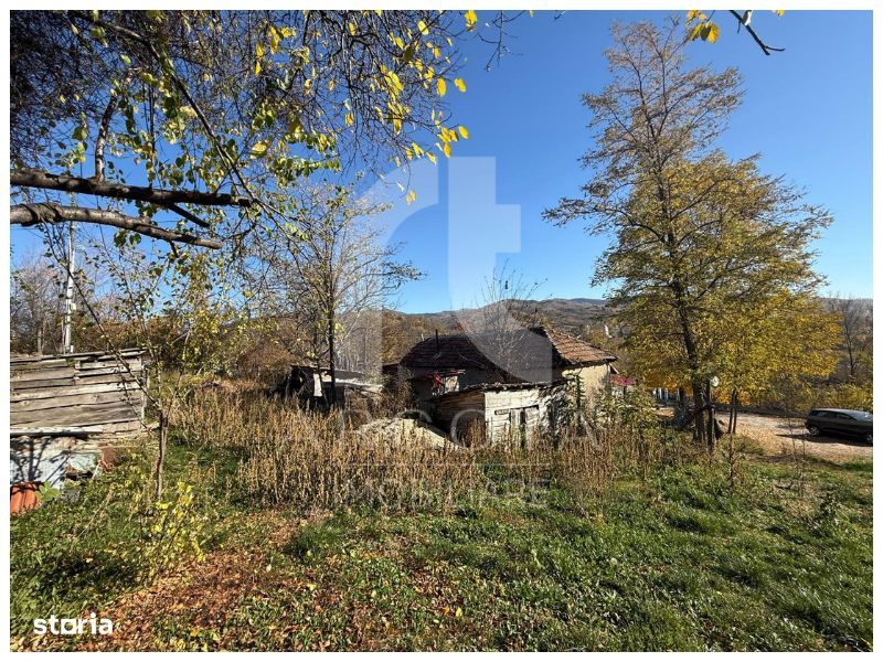 Teren Cozieni - Valea Banului | Comision Zero