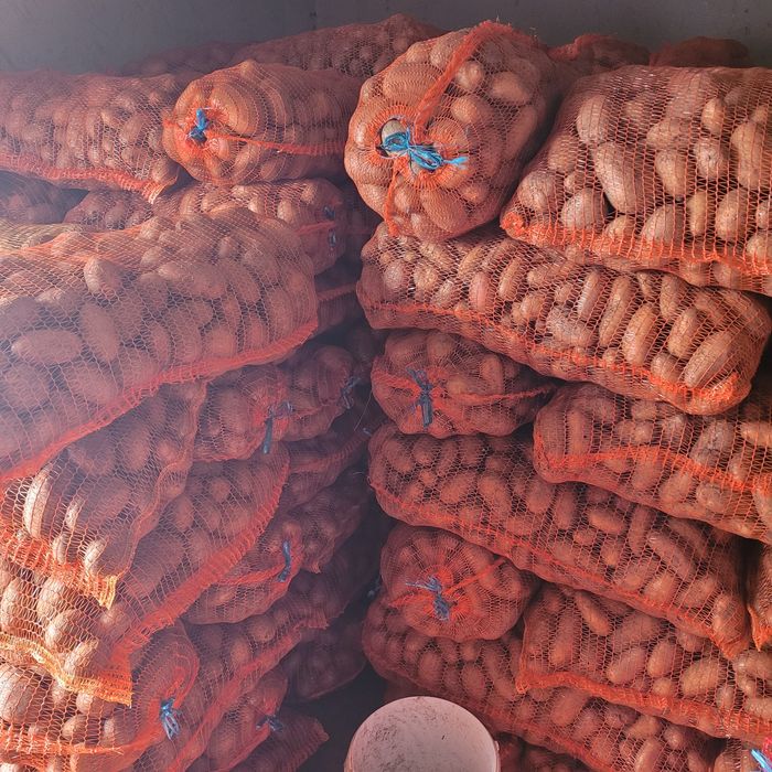 Cartofi la super preț