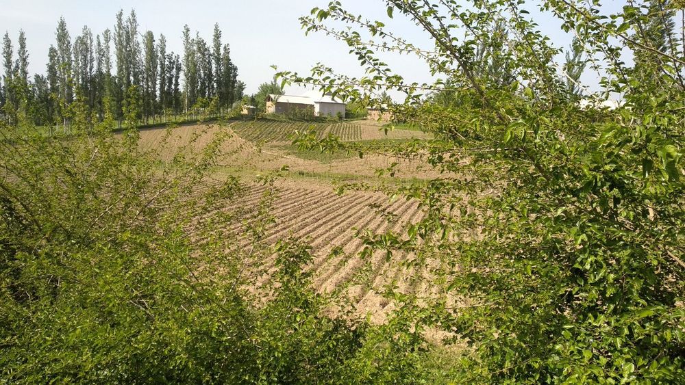 Ohongaronda shaharga yaqin joyda ajoyib yer sotiladi kelishimiz narxin