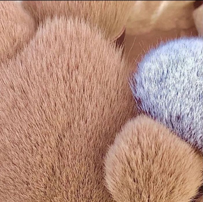 Комплект професионални четки за грим 13 броя