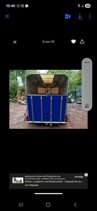 Vand reomorca Animal 2