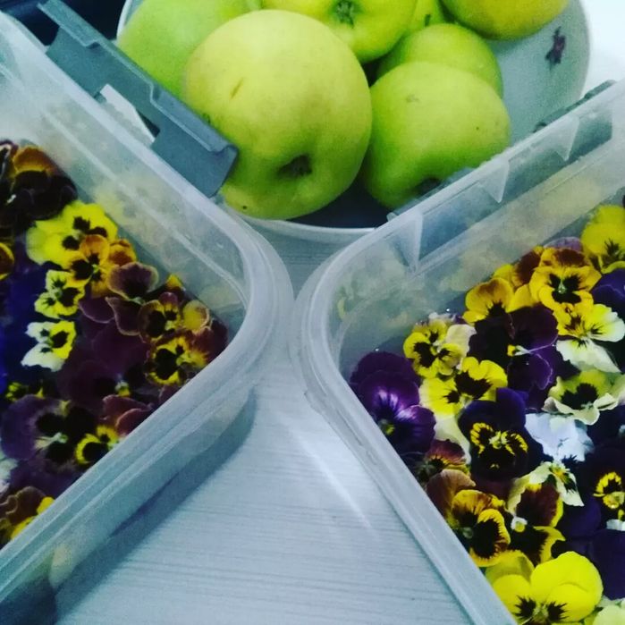 СЪЕДОБНЫЕ цветы в ассортименте