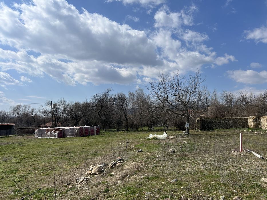 Голям, слъвчев парцел.