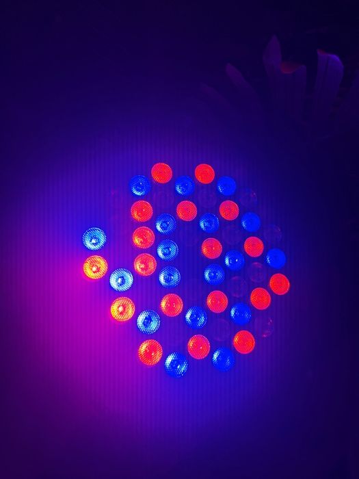2 proiectoare led