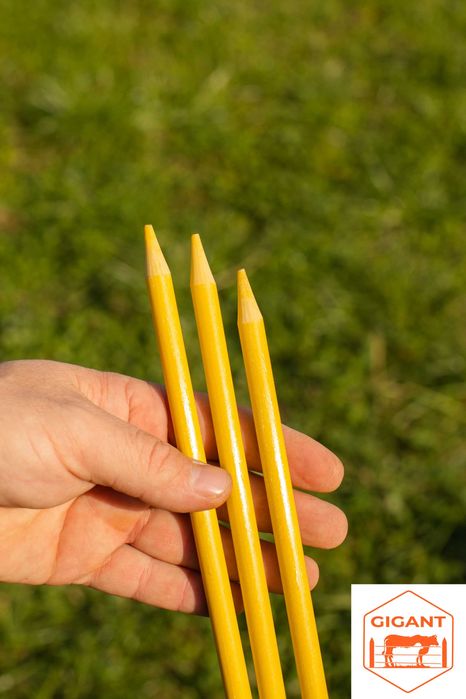 Электропастух для лошадей