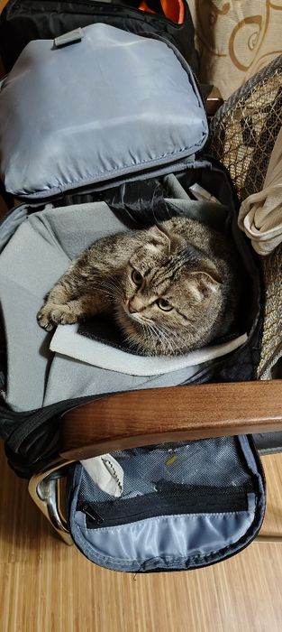 FPV дрон DJI Avata