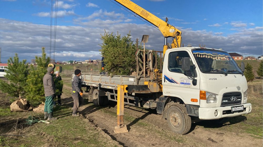 услуги манипулятора 24/7 НЕДОРОГО