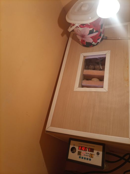 Инкубатор сотилади