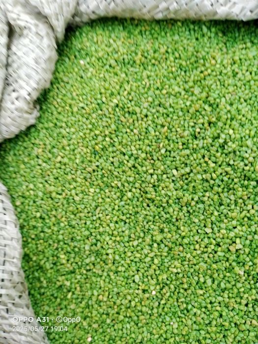 Продам крошка ...