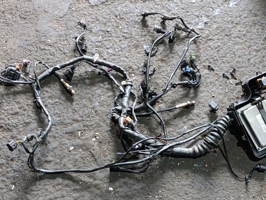 Коса двигателя на Ауди А6С5 2.4л 30клап,ARJ