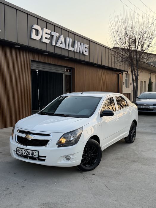 Arenda/Vikup Cobalt 2025 Midnight