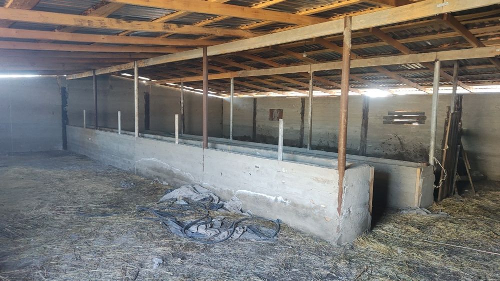 Часны Үй сатылады