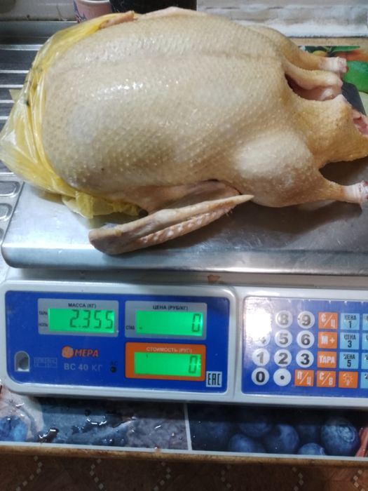 Мясо домашней утки