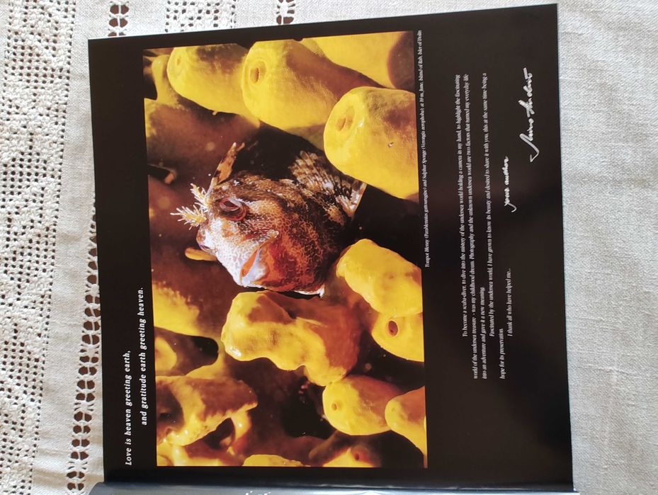 Богато илюстрирана книга, твърди корици: Подводният свят на Хърватия