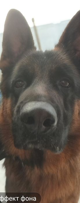 Приглашение на вязку.