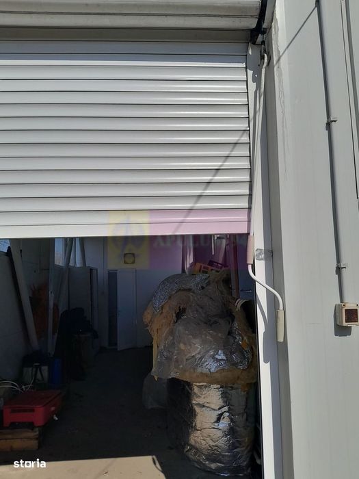 Vanzare Teren 3100 Mp - Sat Rosiori (Il)