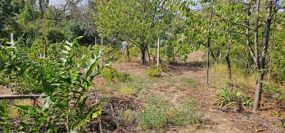 Продава се Парцел в Русе, в.з. Левента - 447 кв.м за 10 €/кв.м - Снимка #2