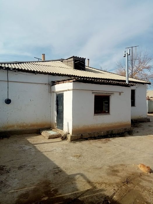 Жатырдың медициналық жынысы