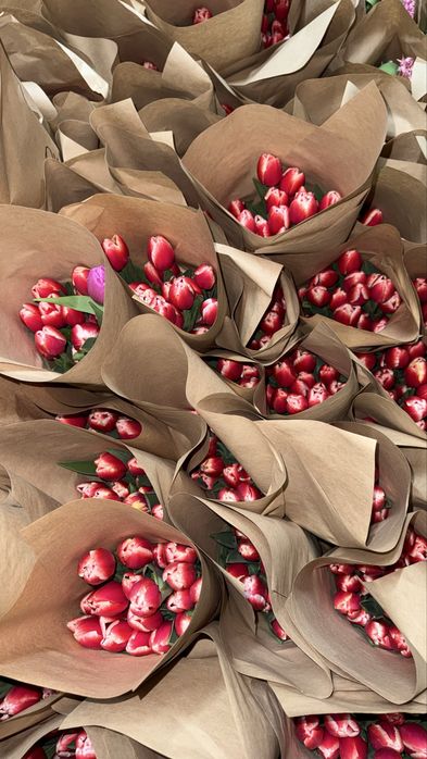 Цветы тюлпаны успейте