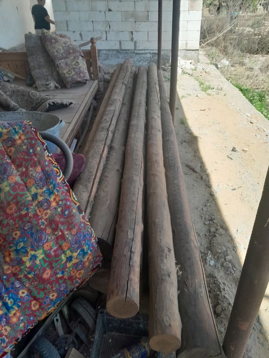 Кругляк Агаш сатылады