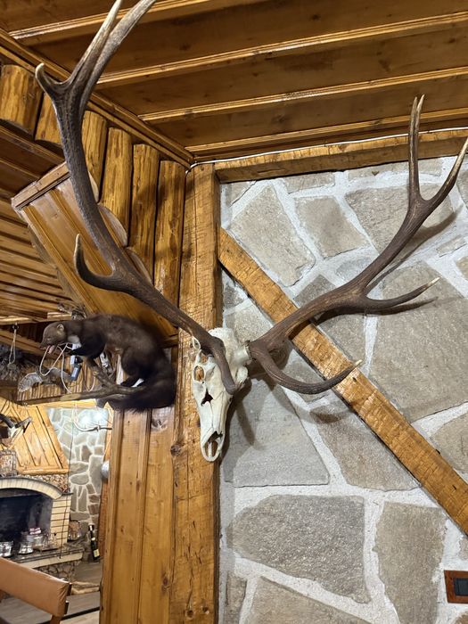 Ловни трофеи  на супер цени