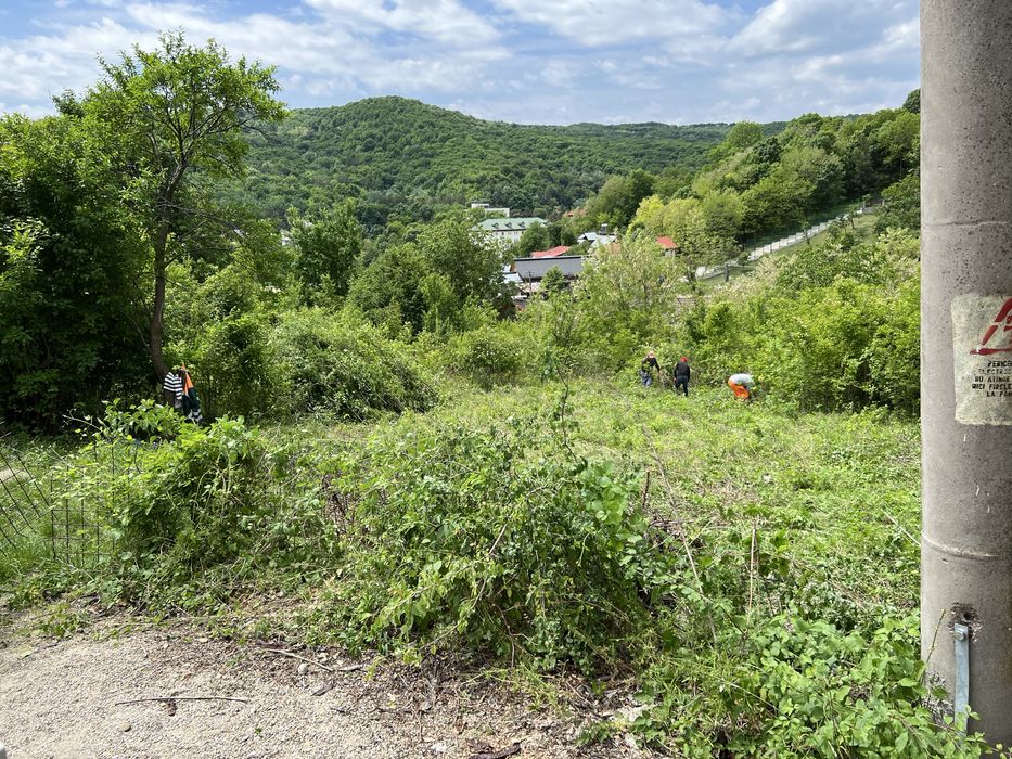 teren intravilan Monteoru cu autorizație construire casuțe de vacanță