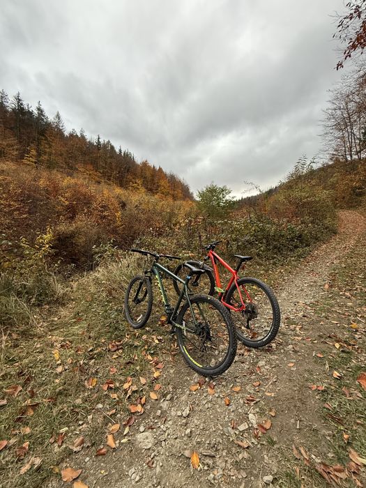 Bicicleta MTB Boardman 29 L