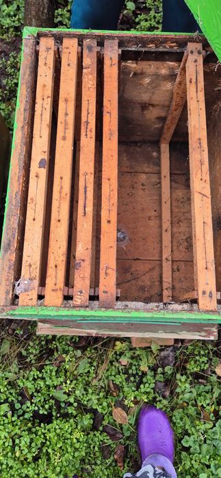 Lazi/Stupi de albine