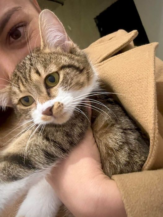 Кротката Рая на 9 м търси дом