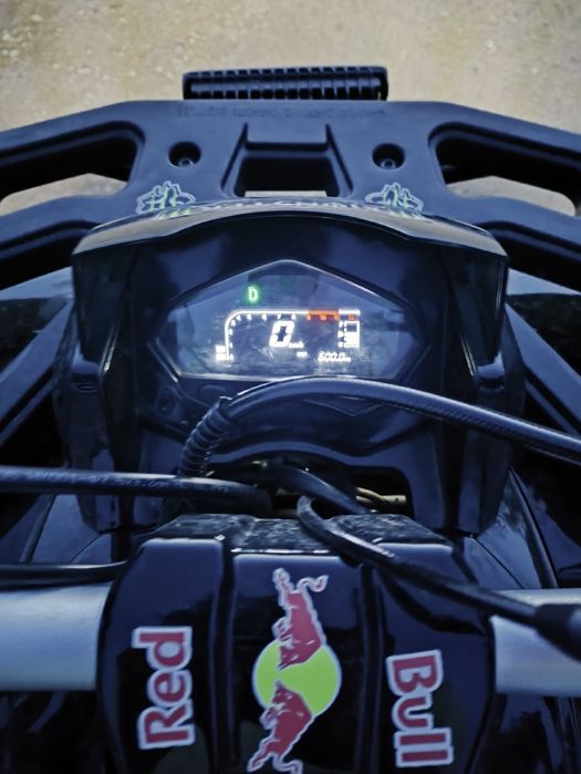 Shark 125 квадрик