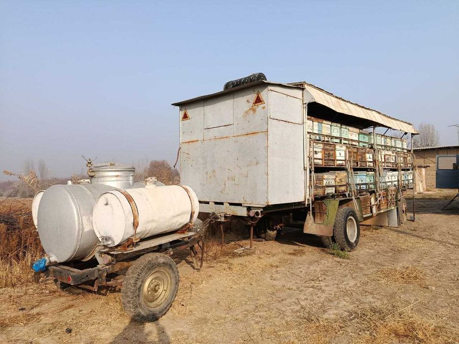 Продаётся ПАСЕКА