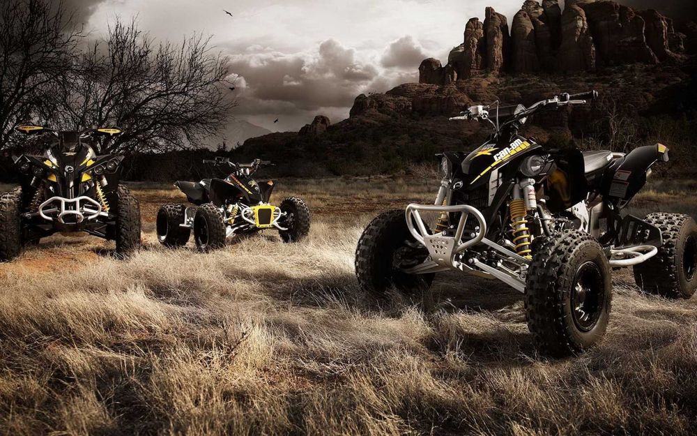 Diagnoza / Chiptuning / Remapare / Delimitare - MOTO, ATV, UTV, QUAD