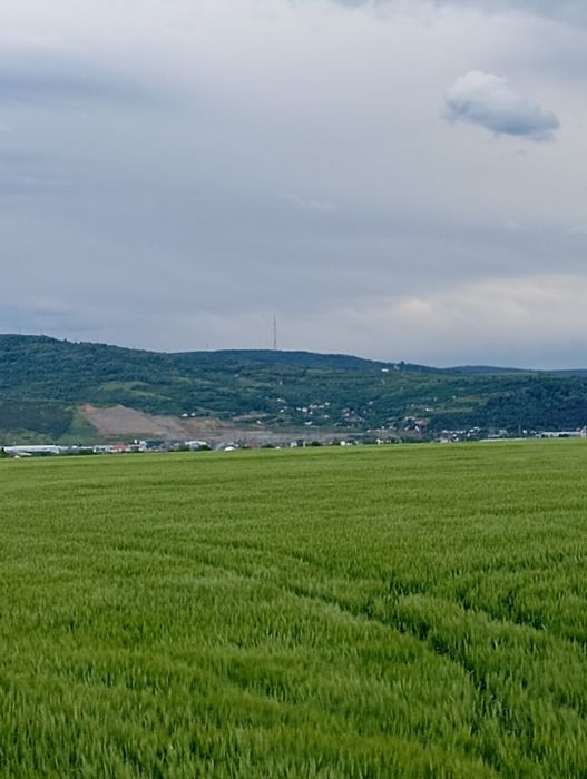 Teren de Vanzare Iași Dancu