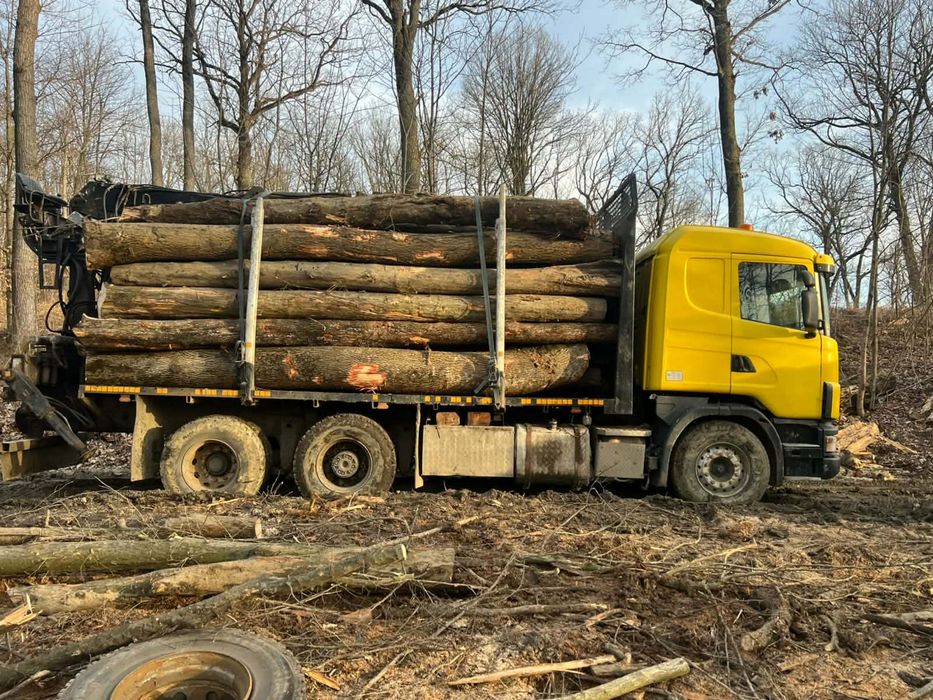 Vand lemne de foc taiate sau  la camion