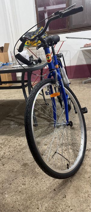 Bicicleta timisoarana